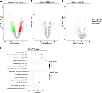 A Prognostic Signature Constructed by CTHRC1 and LRFN4 in Stomach Adenocarcinoma